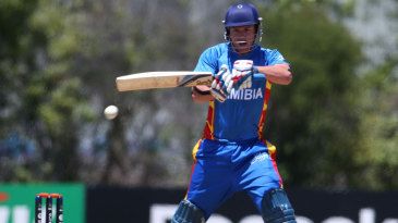 Viljoen stars in Namibia 91-run win