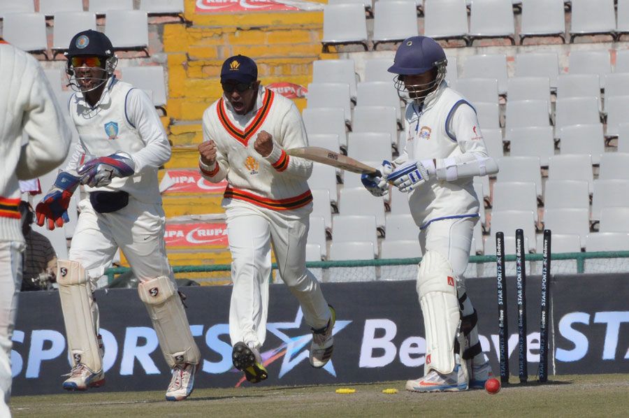 The Karnataka players celebrate the wicket of Jiwanjot Singh