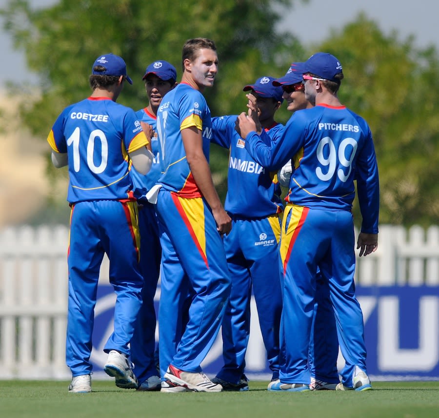 Bredell Wessells celebrates a wicket with team-mates