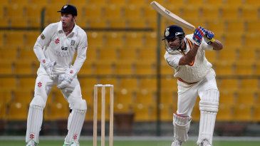 Harshal's 11 knocks out Rajasthan