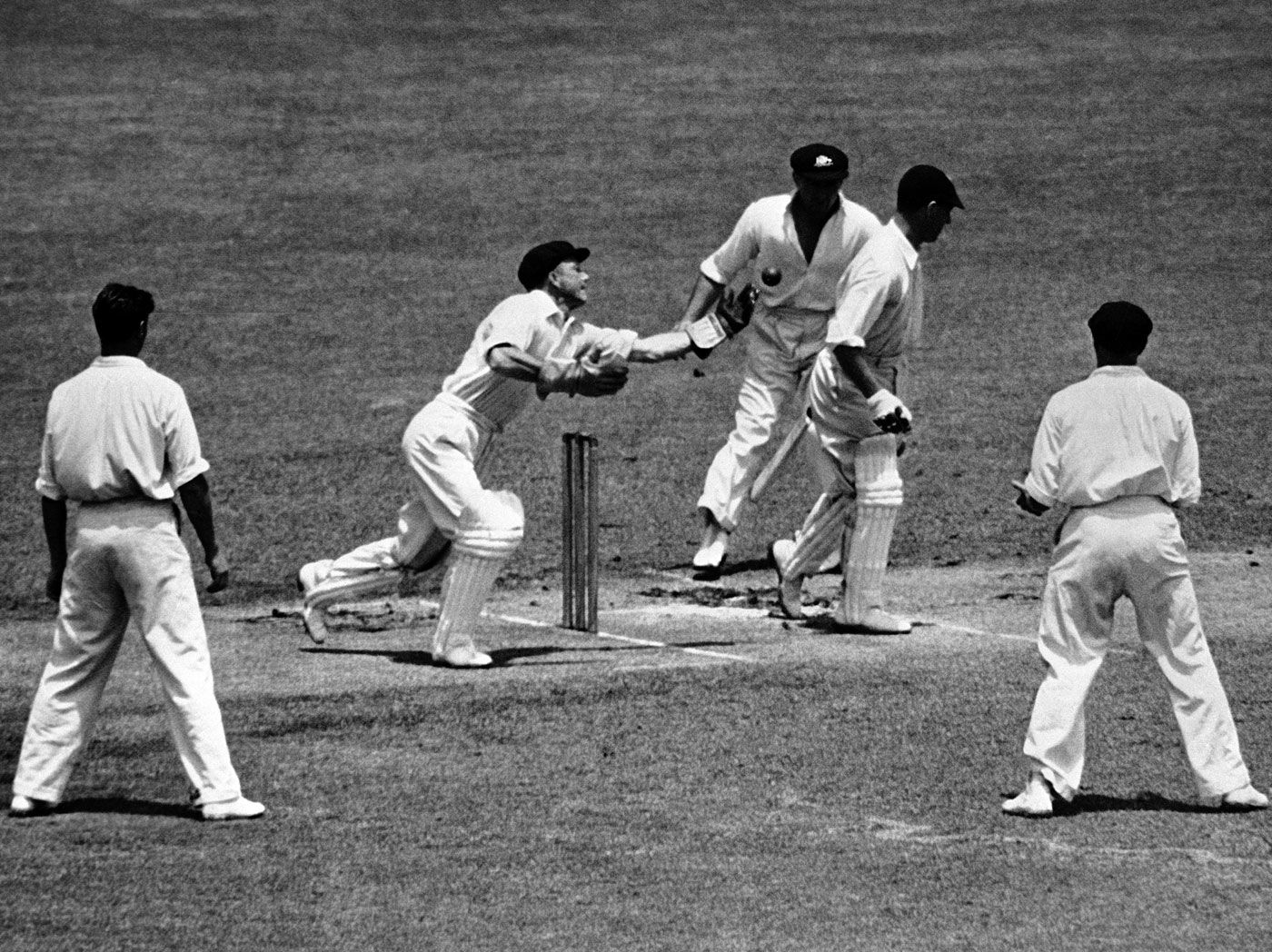 Don Tallon takes a catch to dismiss Doug Wright off the bowling of Ernie Toshack