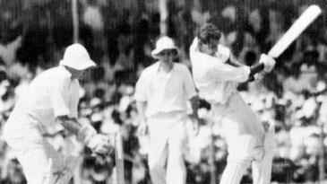 Remembering Budhi the dasher