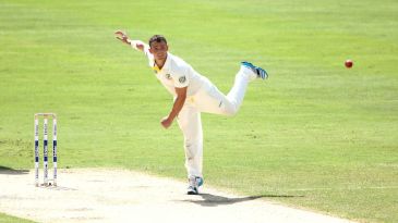 Bird helps give Tasmania the edge