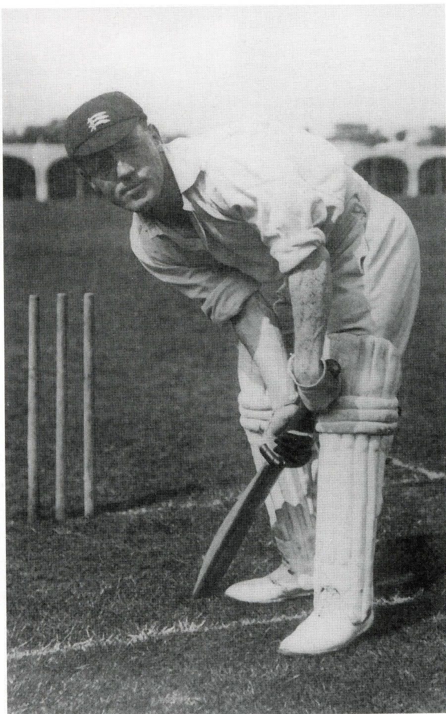 Harry Lee