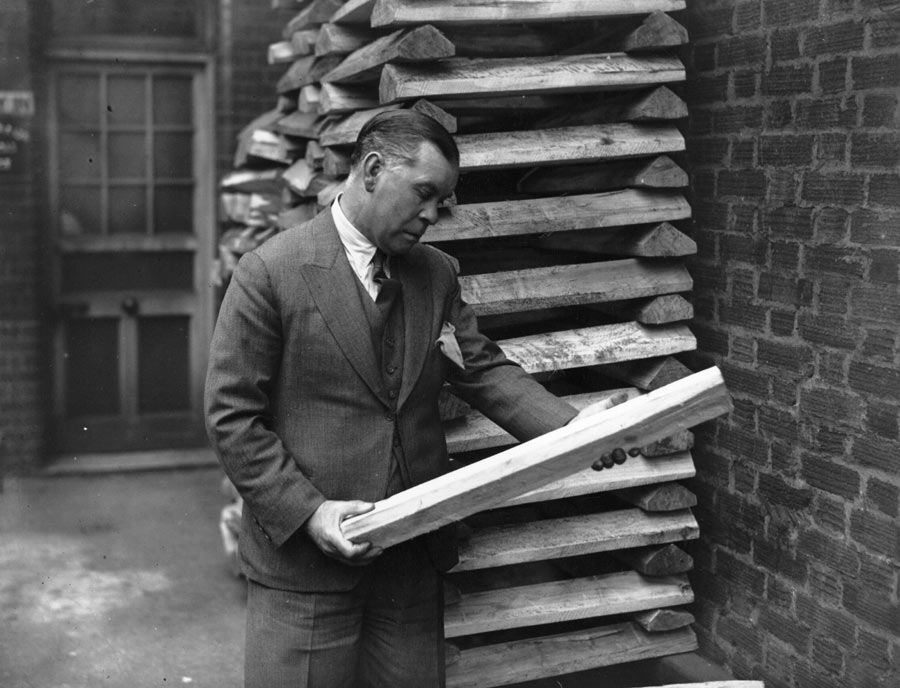 Patsy Hendren the rough cast willow at a cricket bat factory in St John's Wood