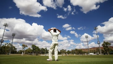 Tremain's four pins NSW down
