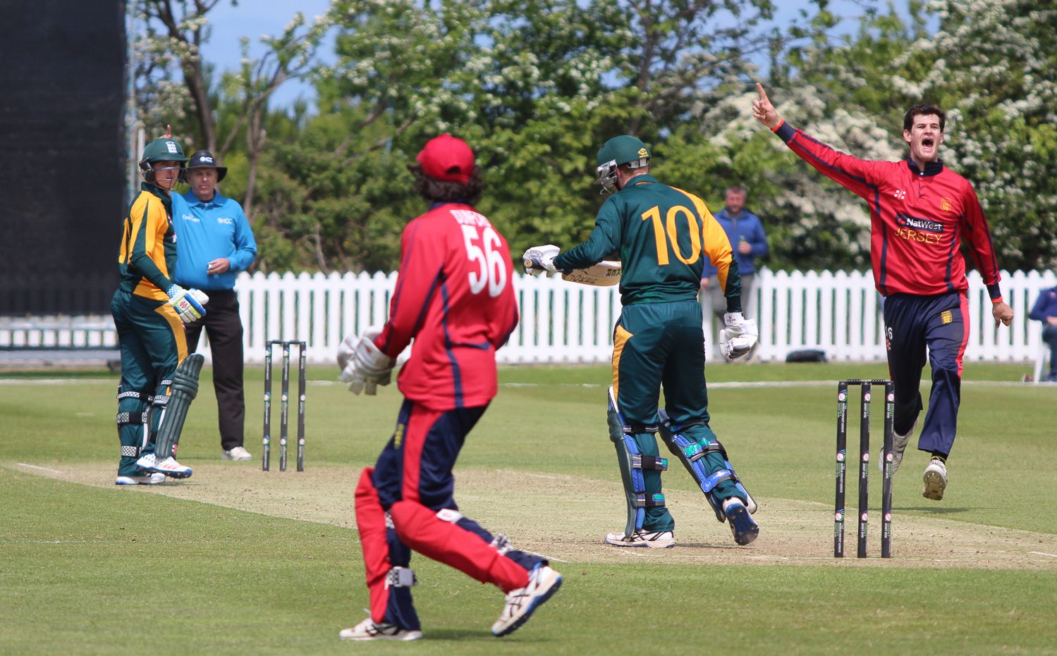 Anthony Hawkins-Kay celebrates the wicket of David Hooper