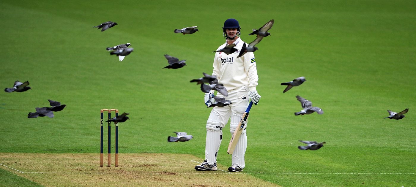 Alex Gidman waits for the pigeons to fly away