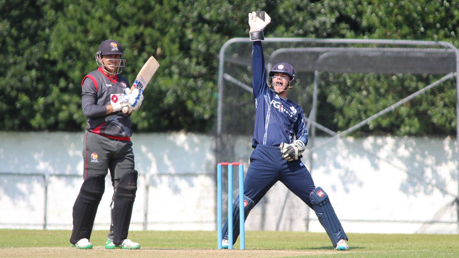 Matthew Cross belts out a successful lbw appeal for the wicket of Saqlain Haider