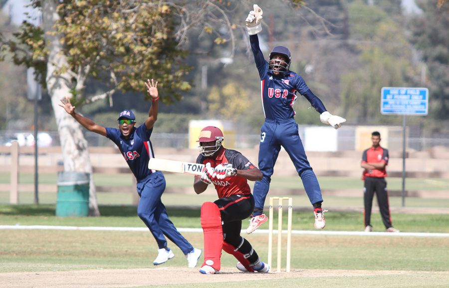 Wicketkeeper Akeem Dodson shouts for a successful lbw appeal