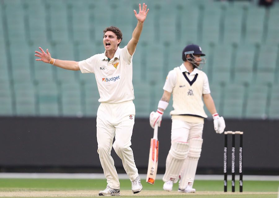 Simon Milenko appeals for the wicket of Matthew Wade