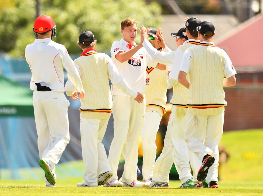 David Grant dismissed Stephen Cook for a duck