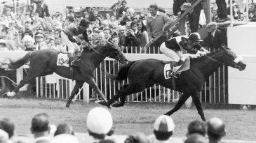 A horsey delivery, and doubles in double-quick time