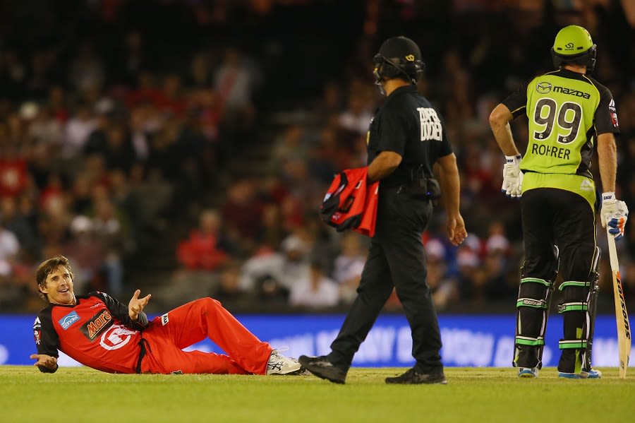 Brad Hogg falls over as he makes an appeal