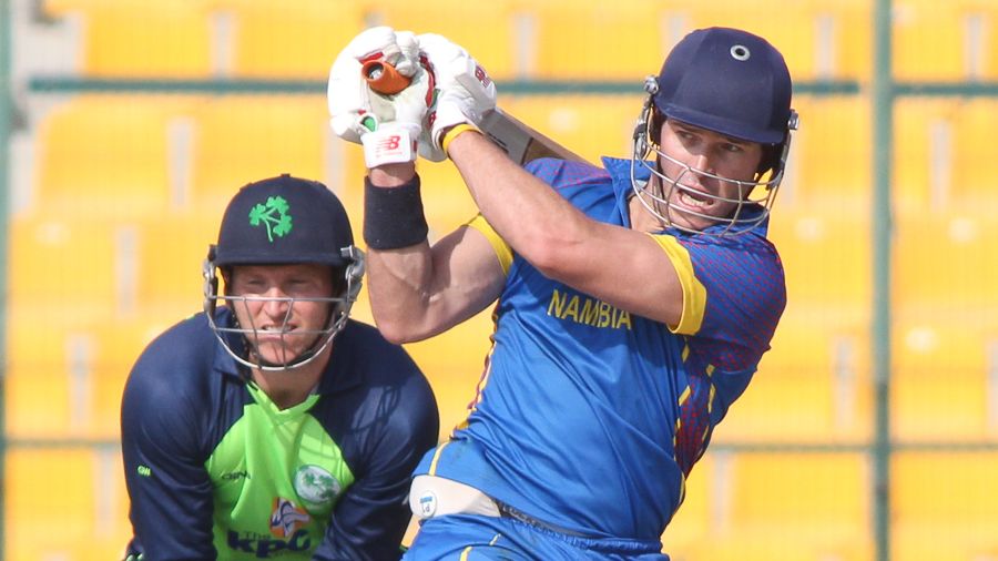Louis van der Westhuizen pulls through the leg side during his 50 off 25 balls