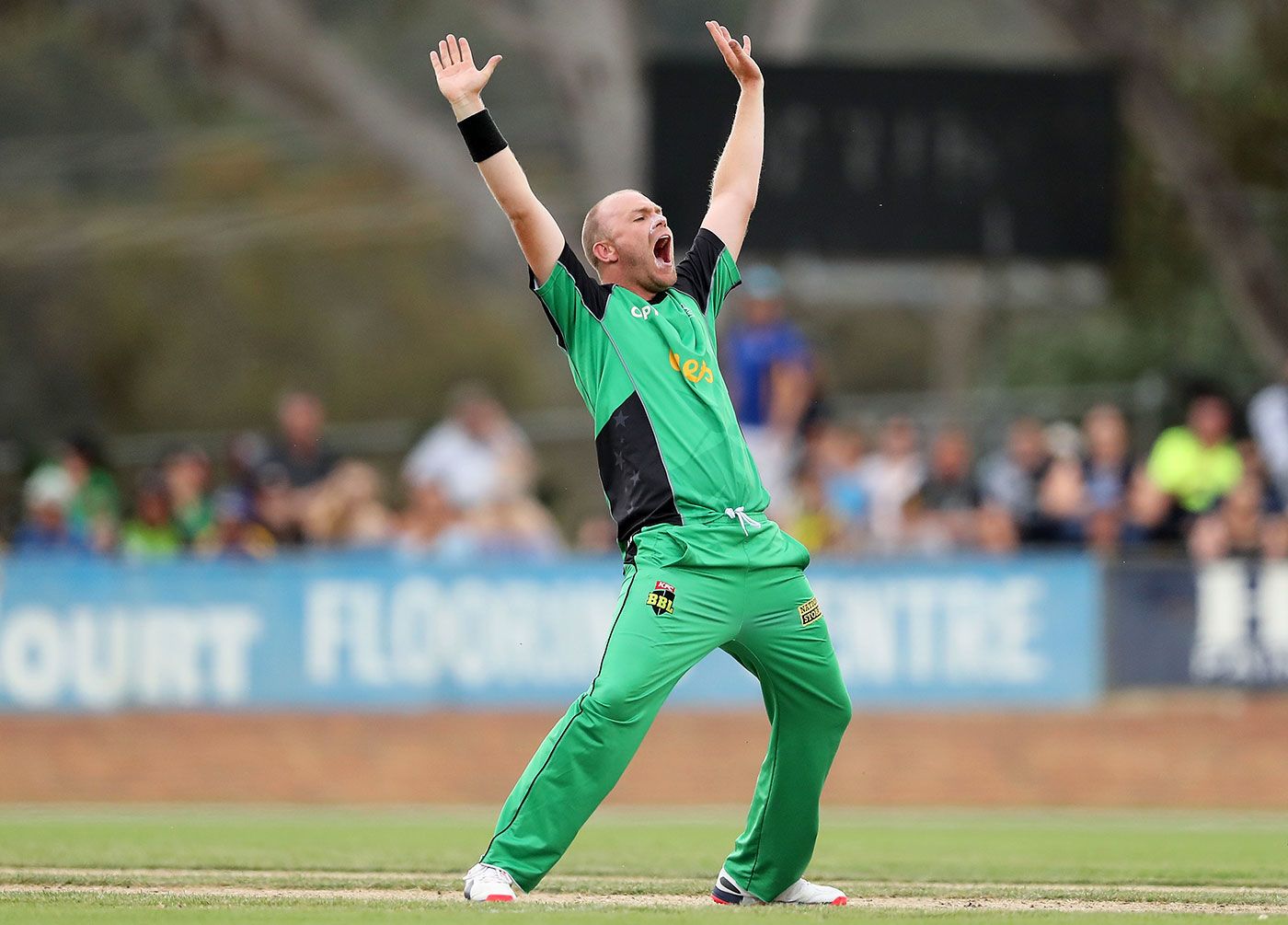 Michael Beer appeals for a wicket