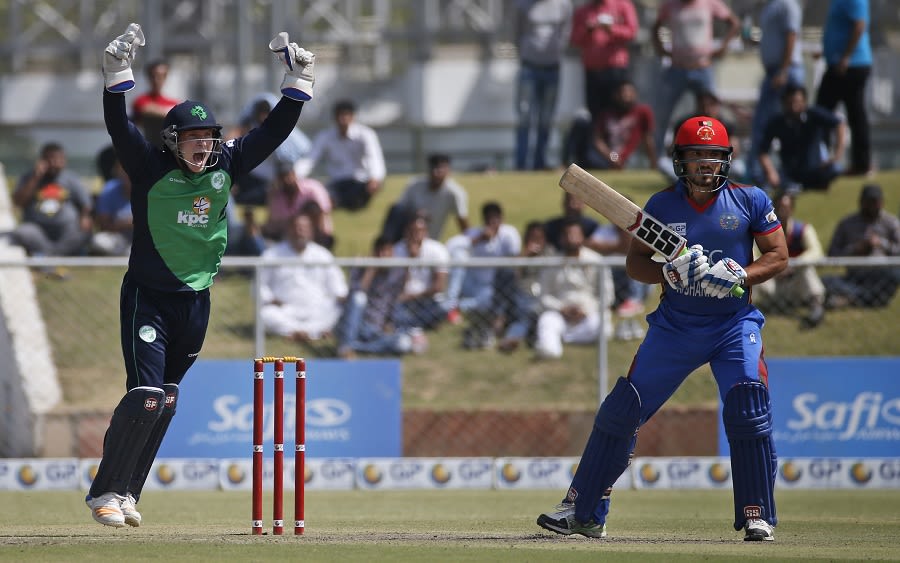 Gary Wilson successfully appeals for the wicket of Gulbadin Naib
