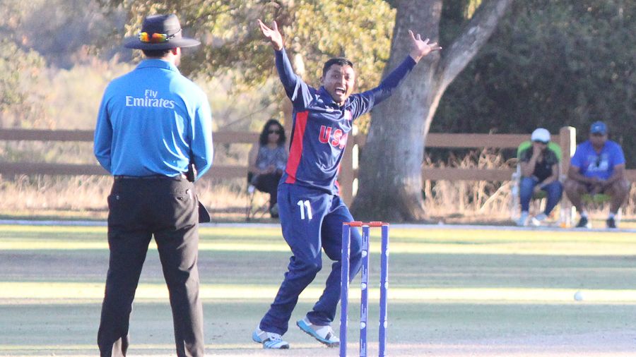 Timil Patel shouts a strong appeal for lbw