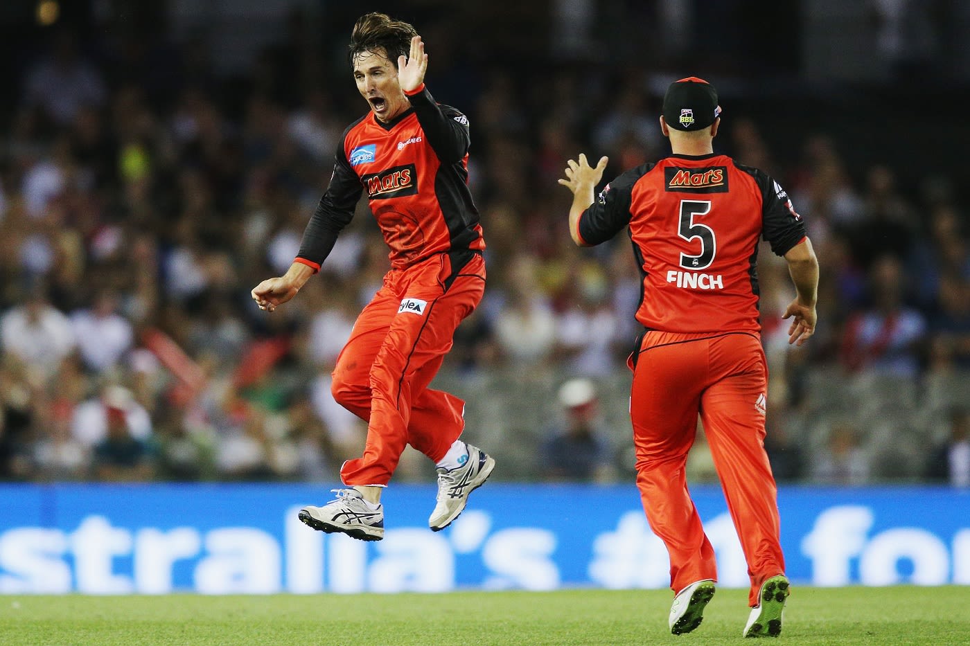 Brad Hogg wheels away after taking a wicket