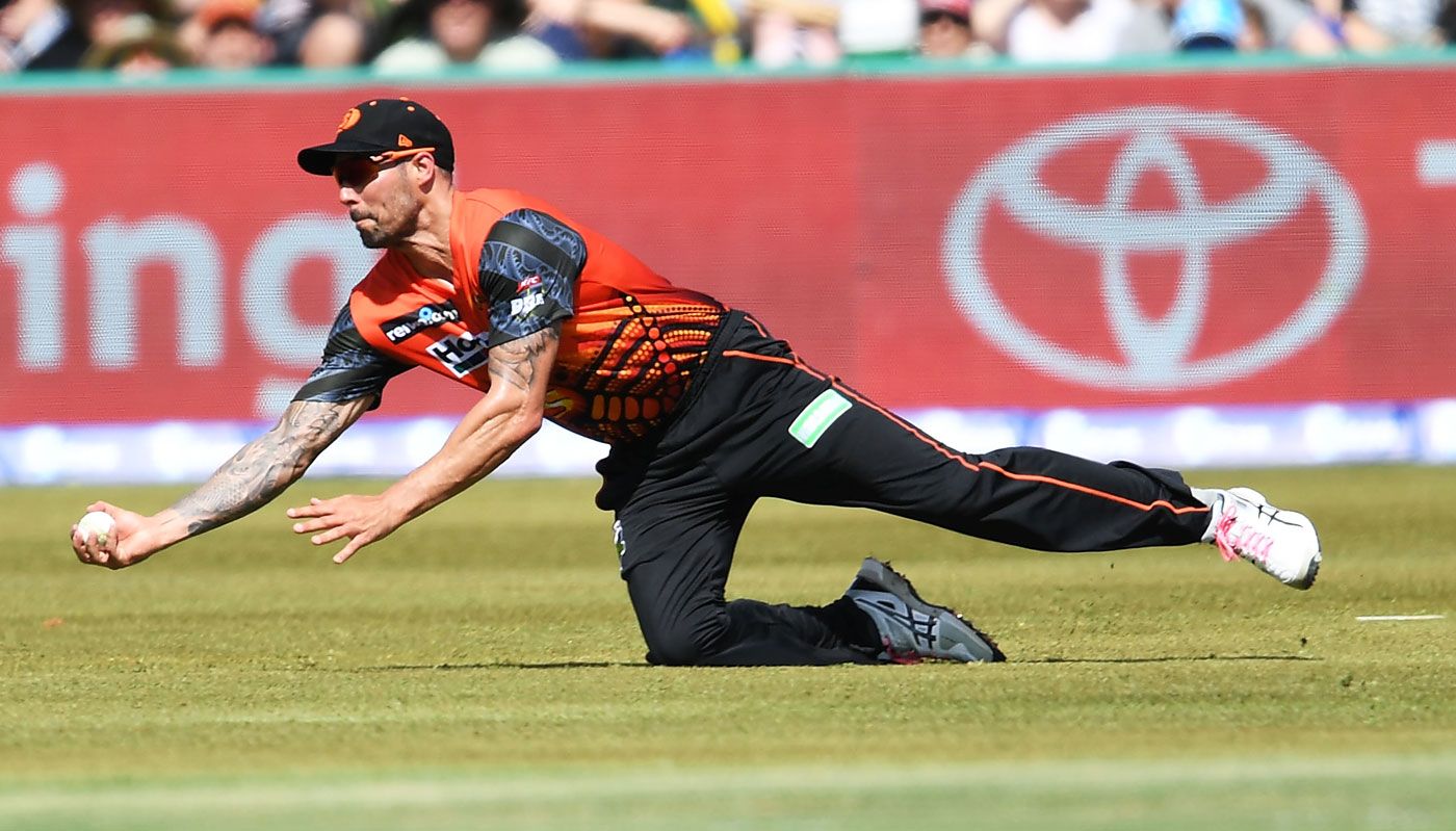 Mitchell Johnson holds on to a catch