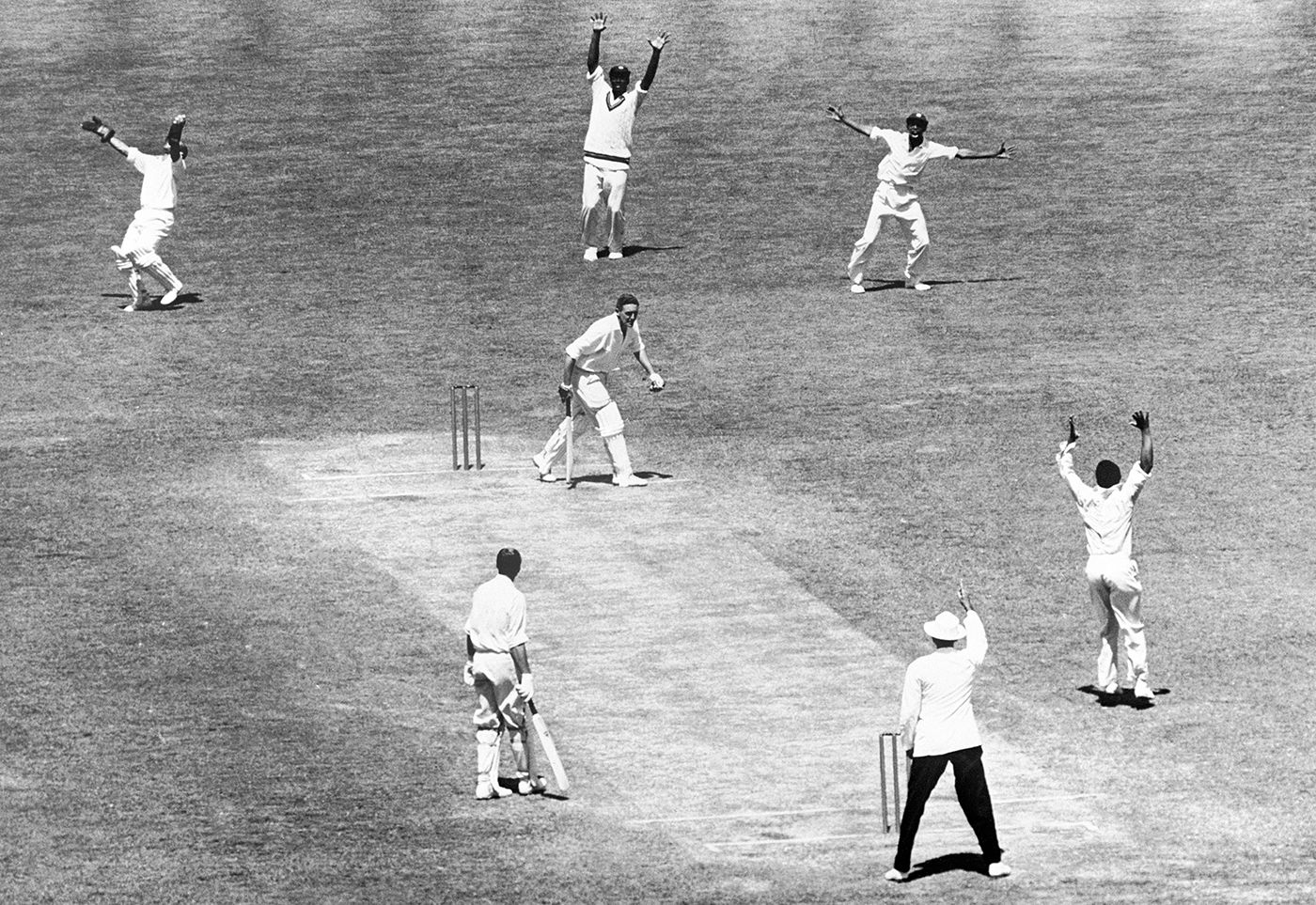 Alan Davidson is caught behind by Gerry Alexander off Garry Sobers while Richie Benaud watches from the non-striker's end