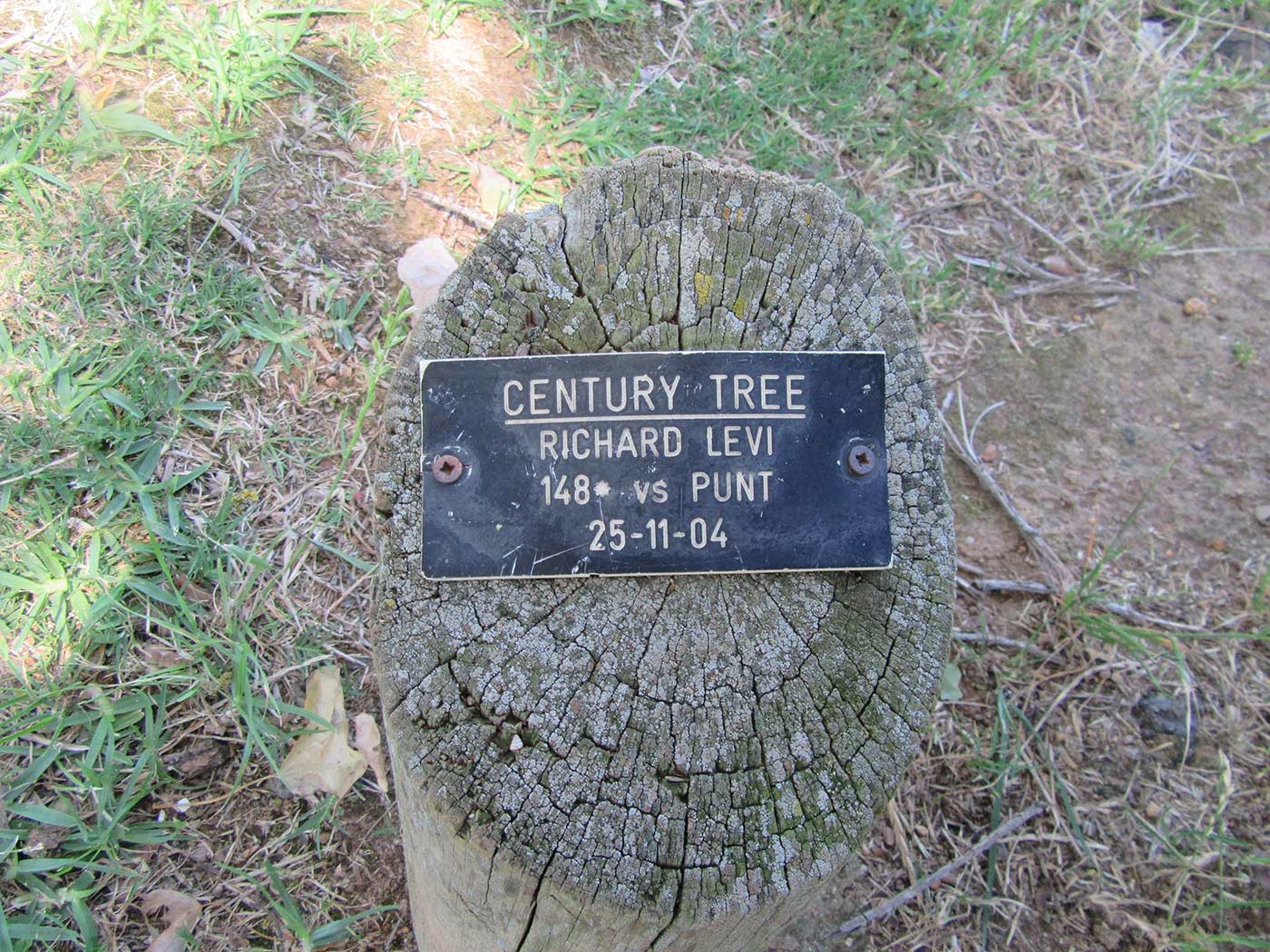 A plaque on a tree stump beside the tree planted to mark a hundred scored by Richard Levi