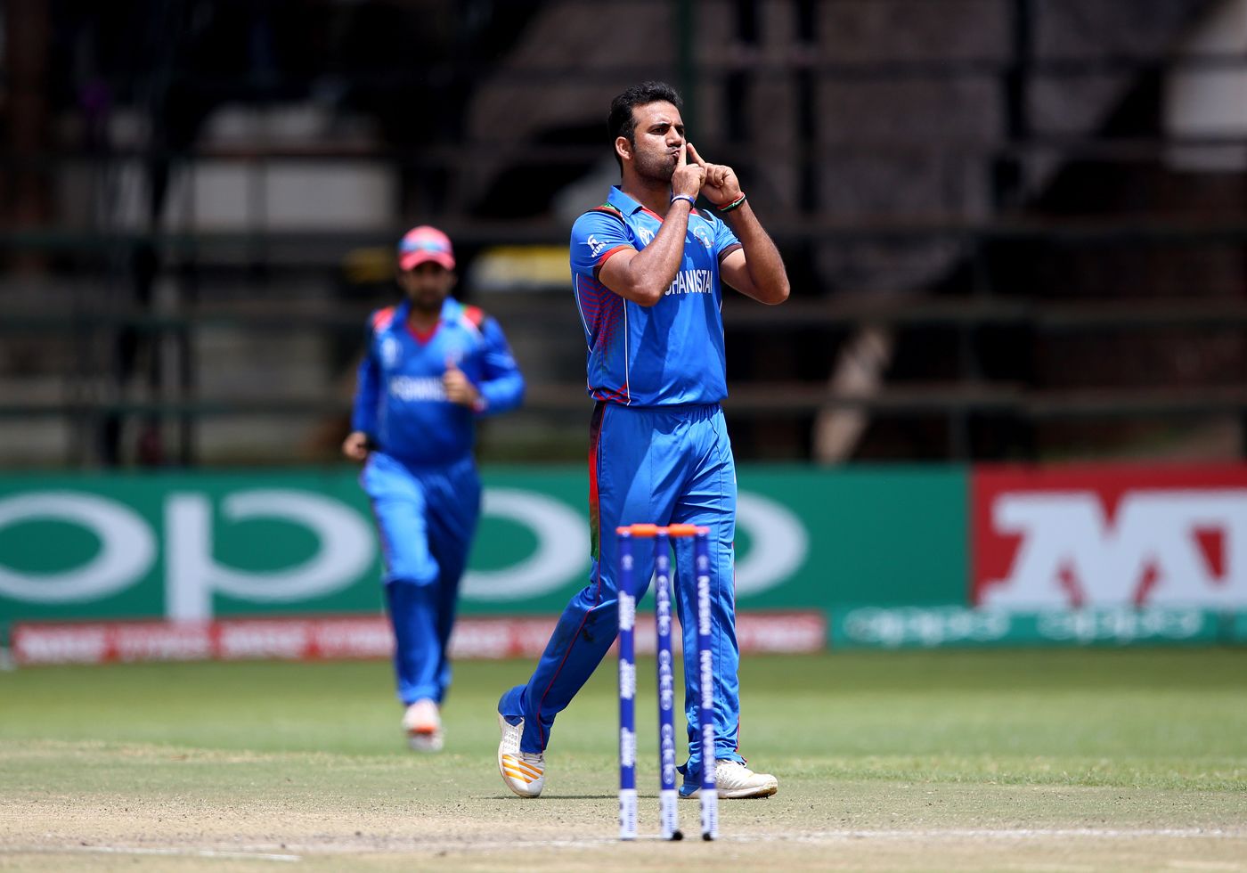 Dawlat Zadran is pumped up after taking a wicket