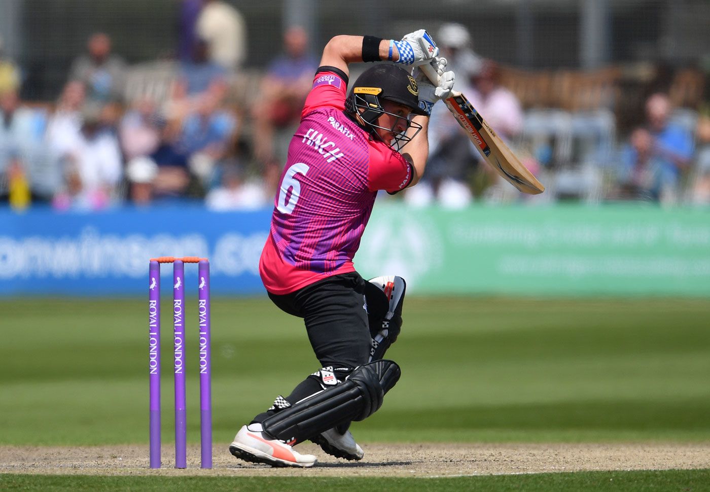 Harry Finch scored his maiden one-day hundred