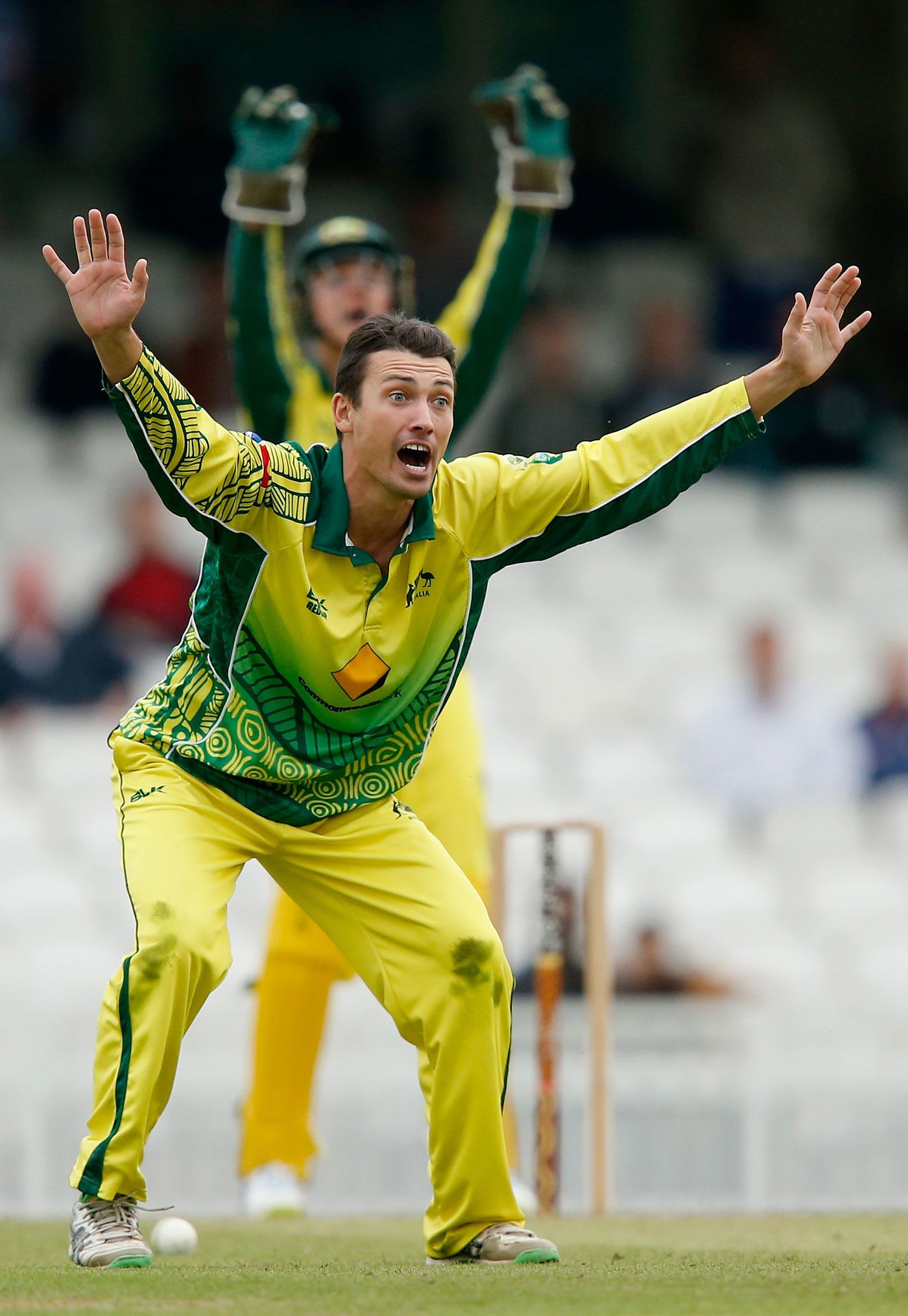 Jonte Pattison appeals for a wicket