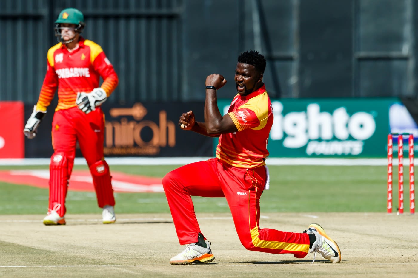 Tendai Chisoro celebrates a wicket