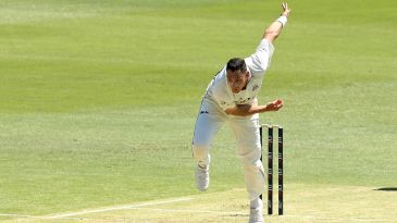 Matthew Wade shines but Victoria's bowlers hold sway