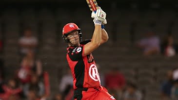 Cameron White returns to Melbourne Renegades as new head coach
