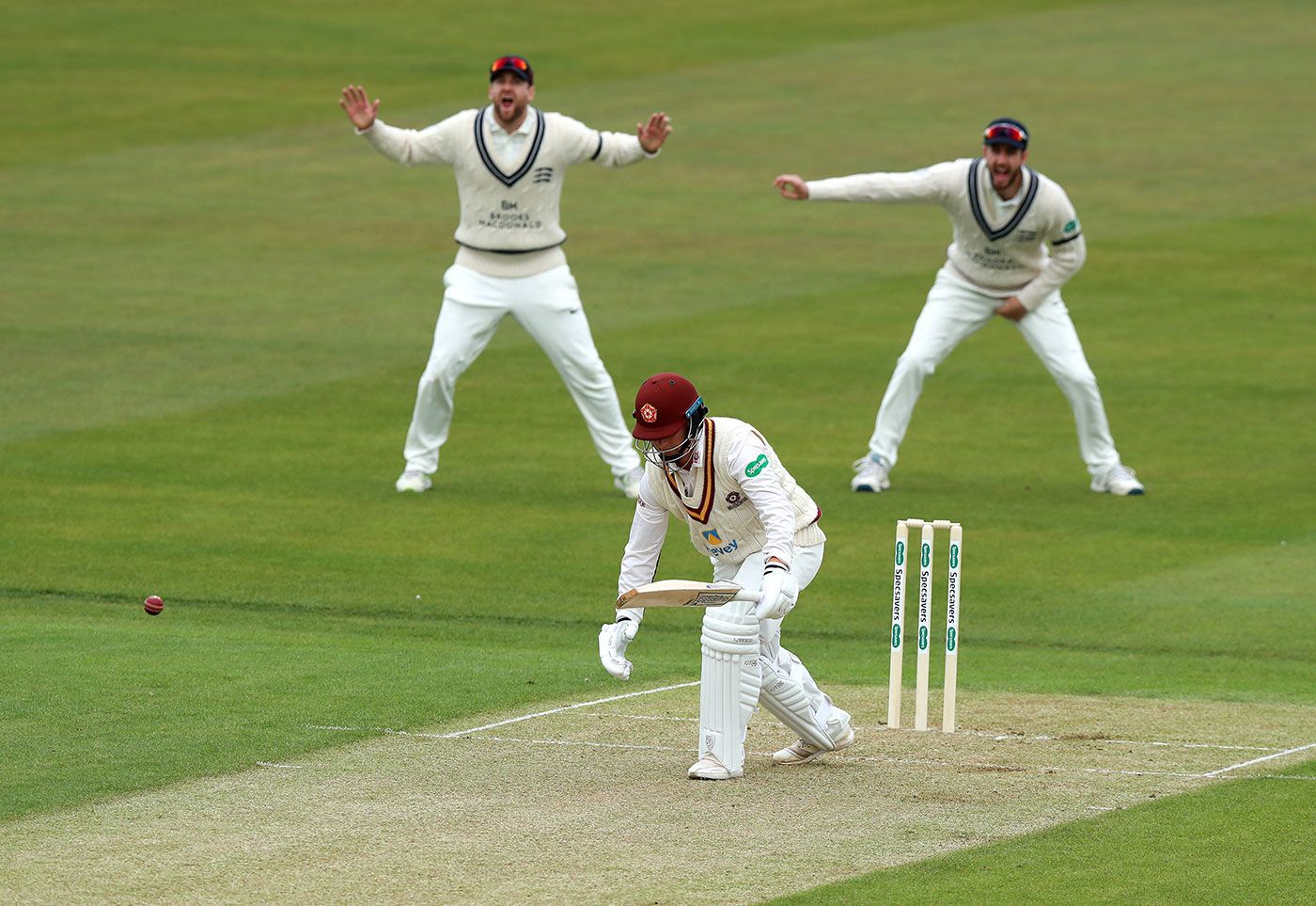 Rob Newton falls lbw to Tim Murtagh