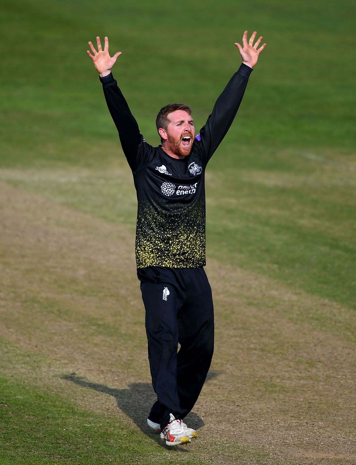 Tom Smith appeals for a wicket