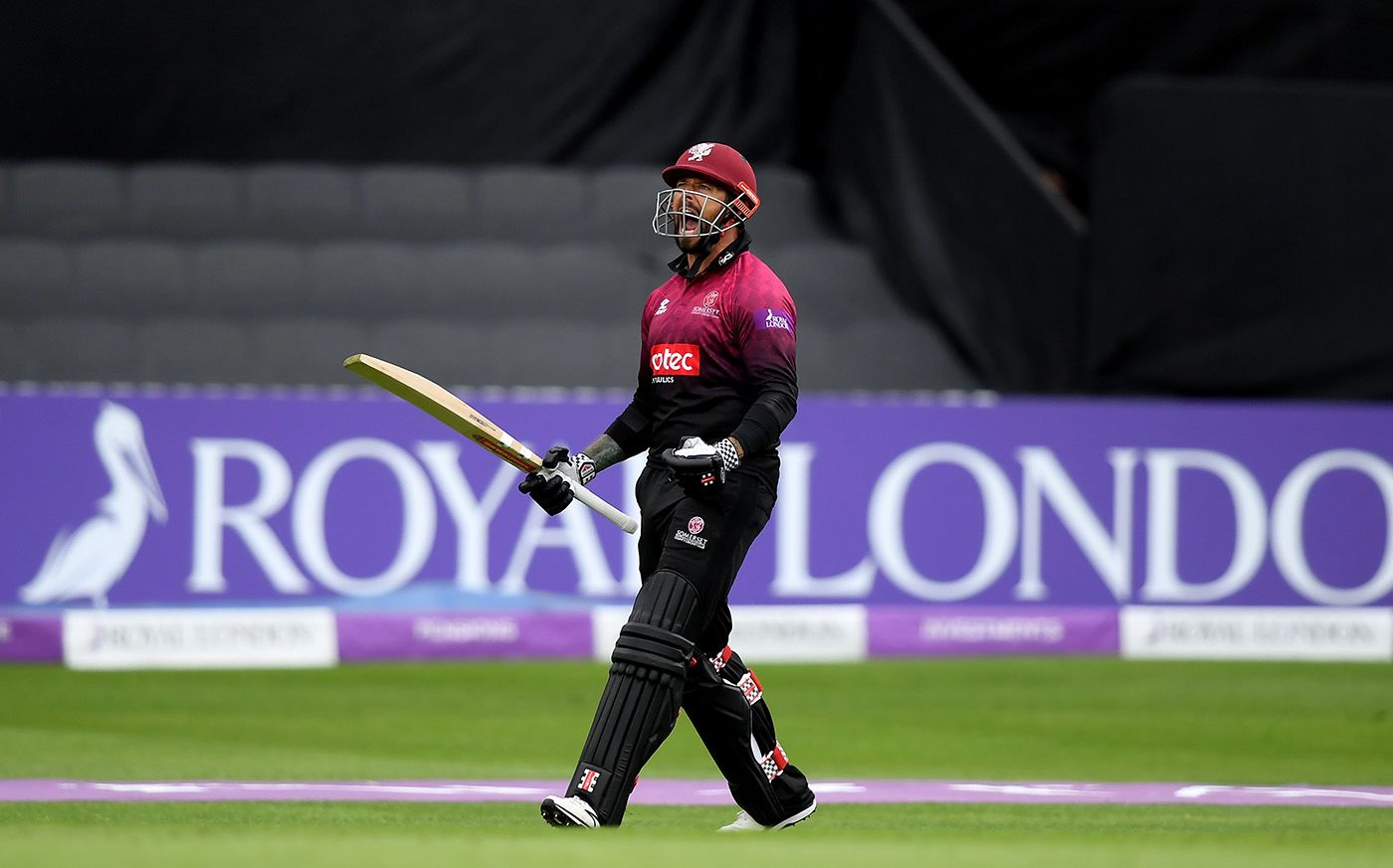 Peter Trego celebrates his hundred with a roar
