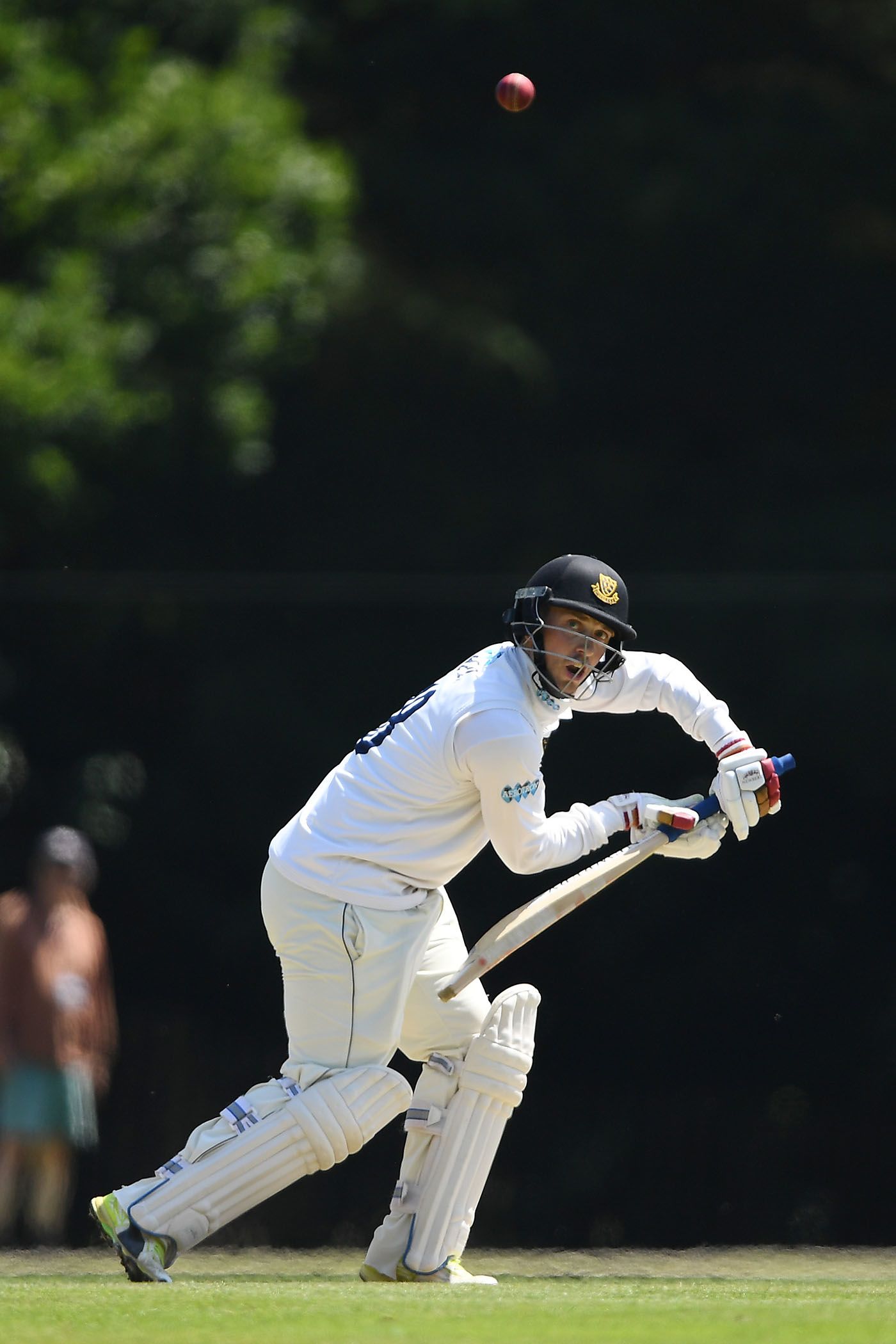 Will Beer of Sussex in action