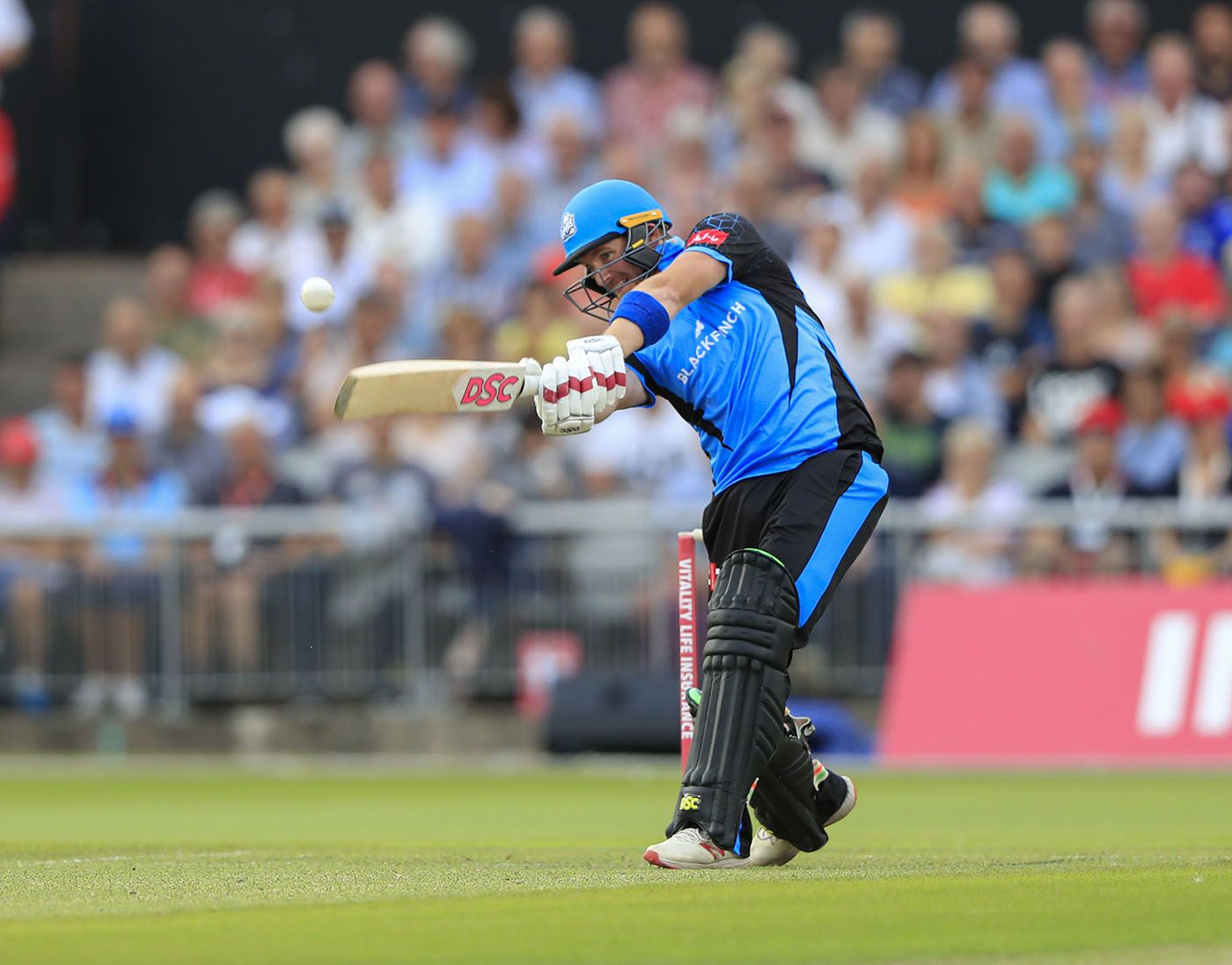 Riki Wessels belts one down the ground
