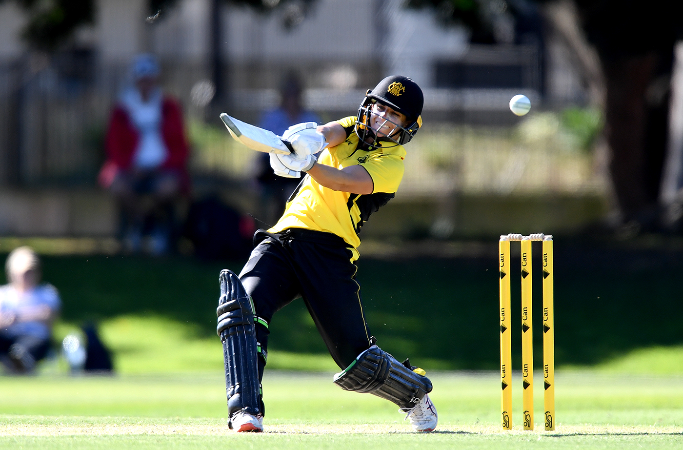 Nicole Bolton lofts over the off side during her half-century against Queensland
