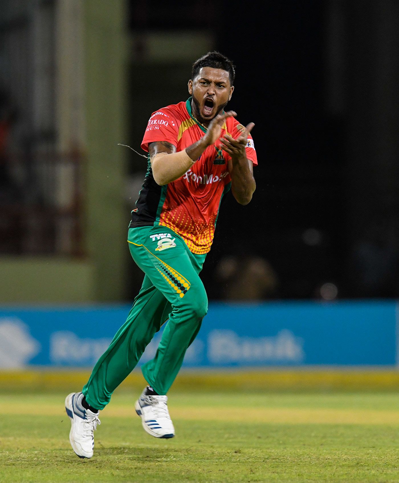 Chandrapaul Hemraj celebrates a wicket