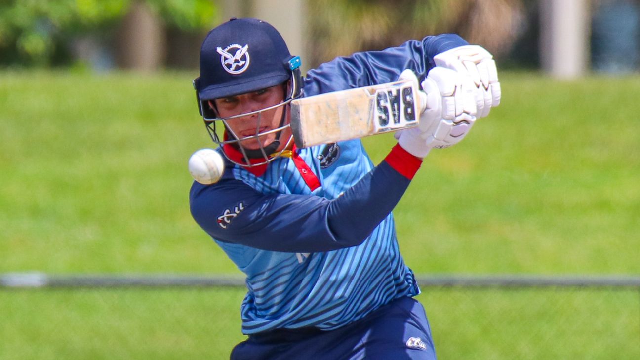Erasmus the star as Namibia level series with last-ball win