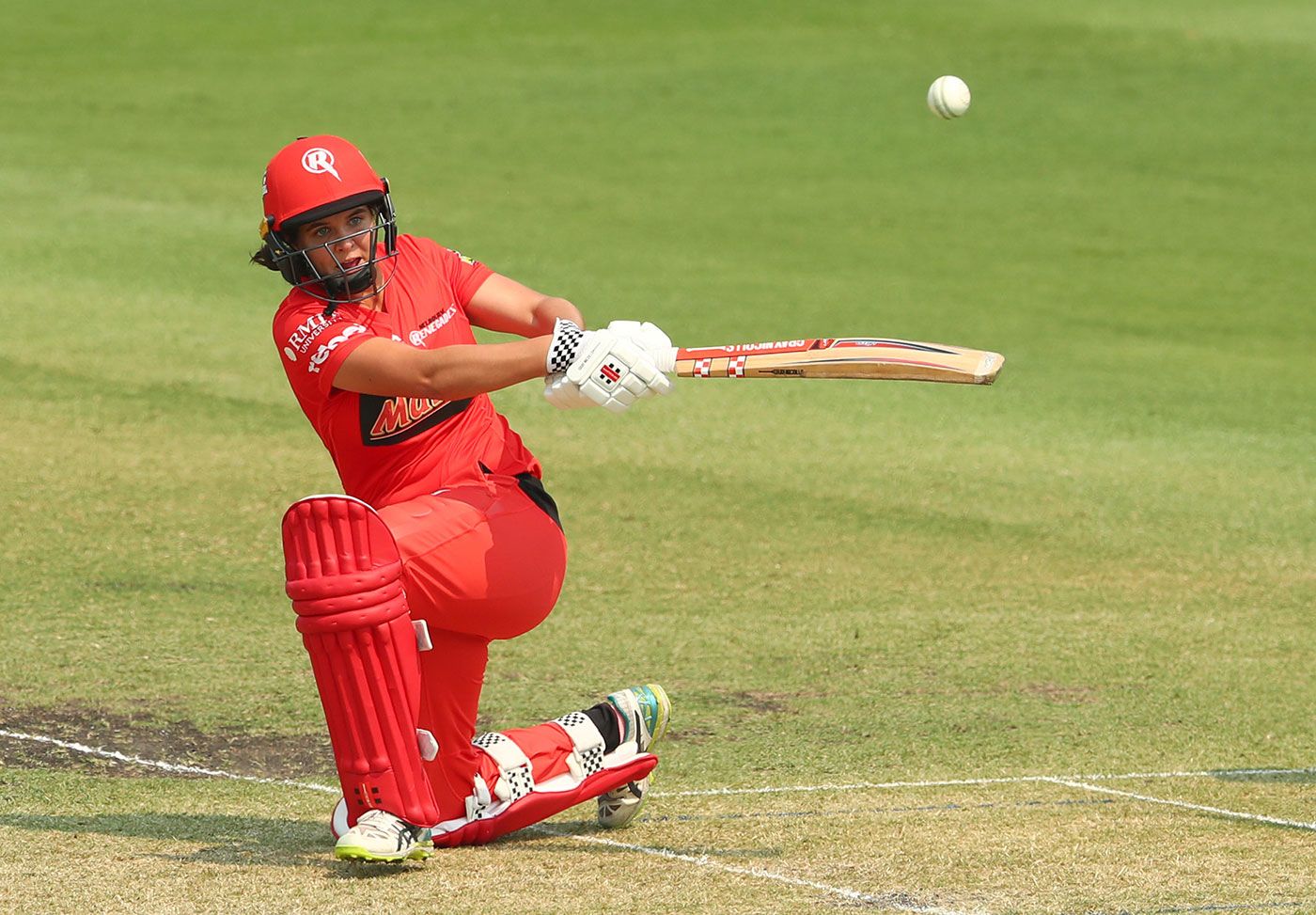 Josie Dooley made her first WBBL half-century
