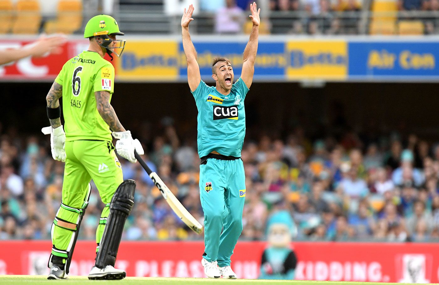 Josh Lalor appeals for lbw