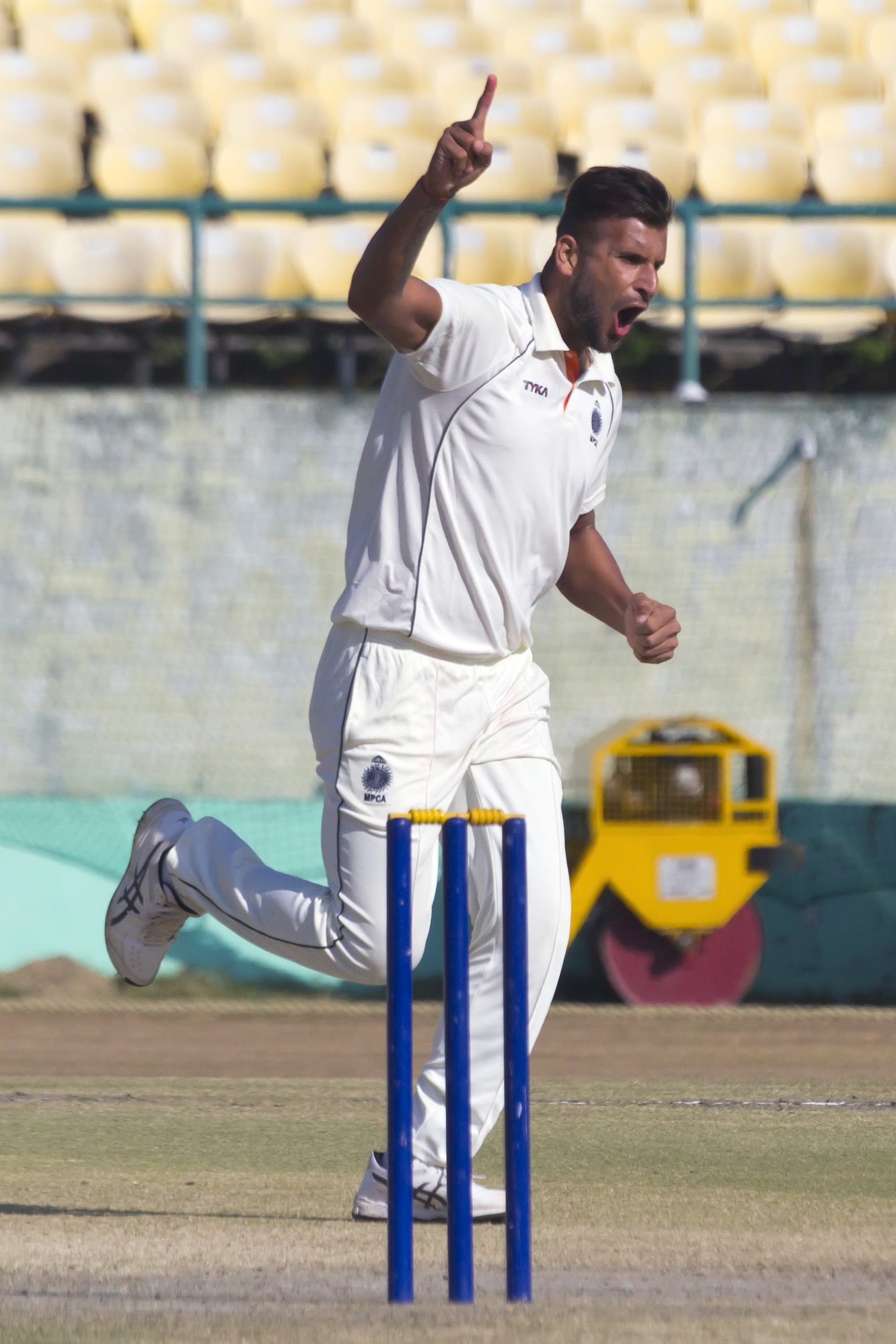 Ishwar Pandey celebrates a wicket