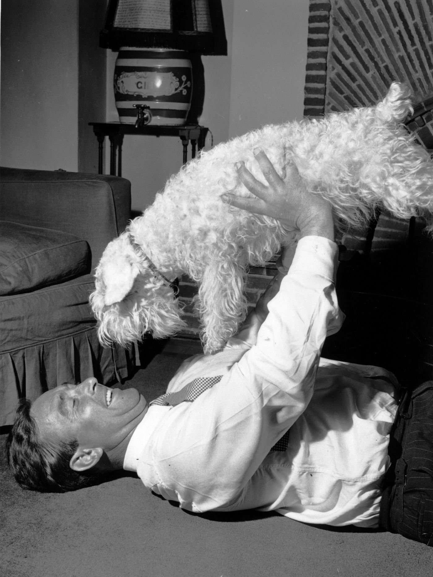 Denis Compton at home playing with his dog after an operation to remove his kneecap