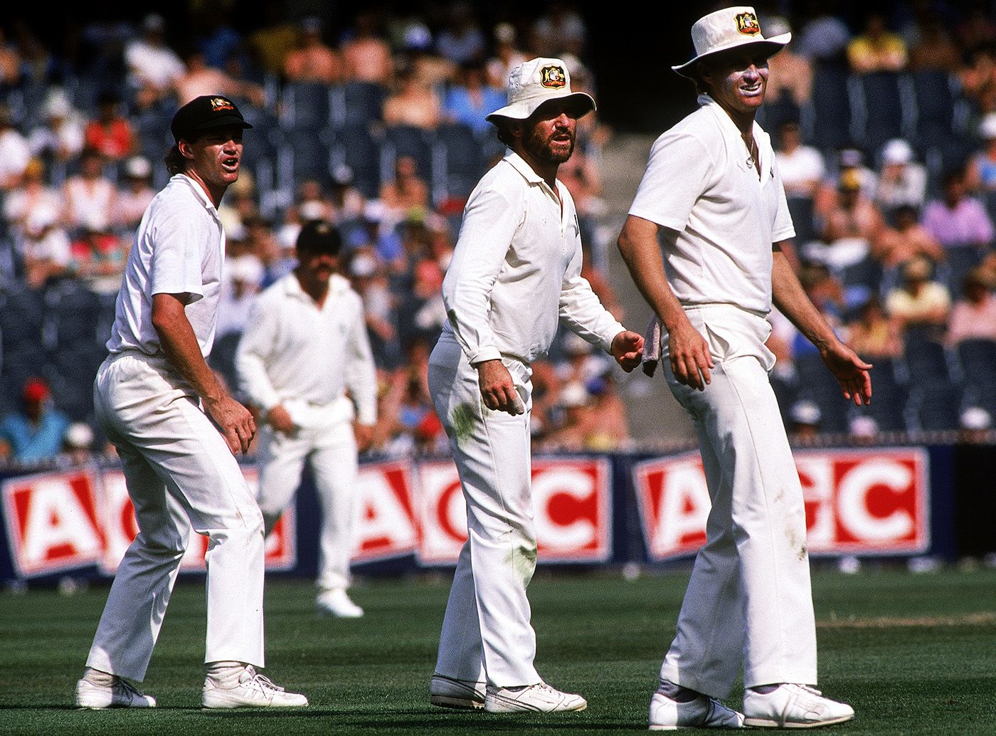 Dean Jones, Allan Border and Terry Alderman in the slip cordon