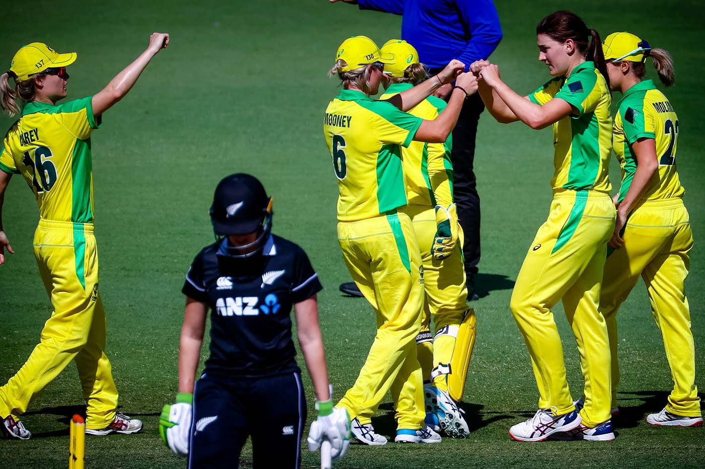 Annabel Sutherland celebrates the wicket of Natalie Dodd