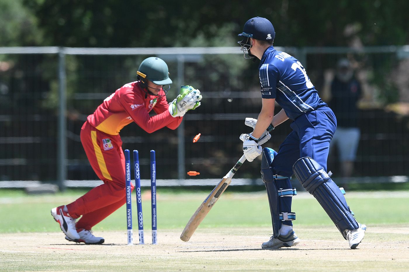 Dane Schadendorf completes a stumping in the Under-19 World Cup