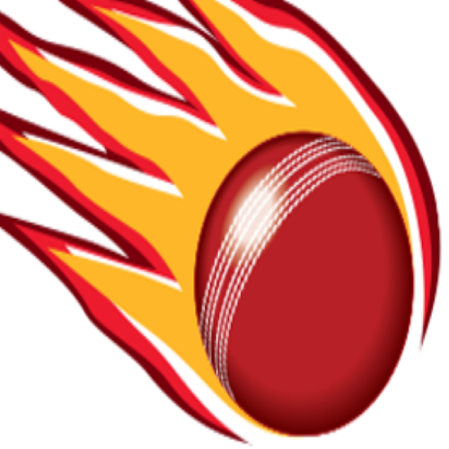 Qld Women logo