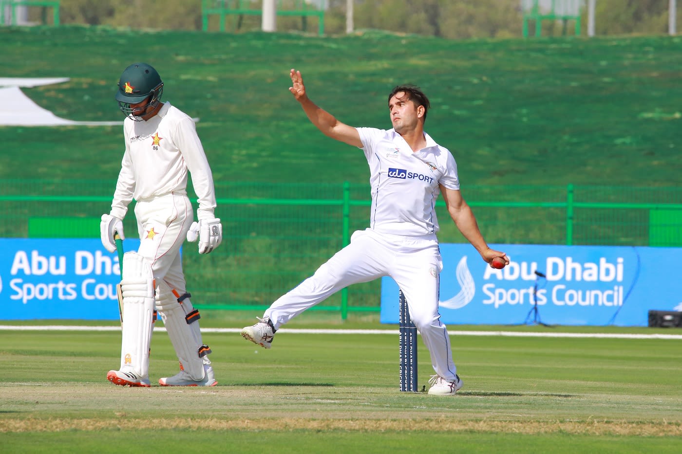 Amir Hamza sends one down