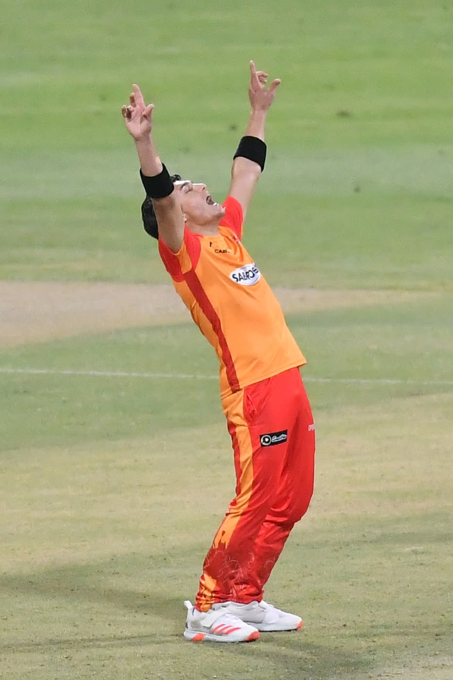 Muhammad Musa celebrates a wicket